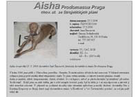 Aisha Prodomasua Praga, výmarský oha